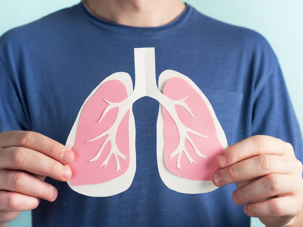 Breathing Easy at Altitude: Top 5 Reasons to Use a Concentrated Oxygen Machine 4 A person holds up a cutout model of pink lungs with white branches, against a light blue background, illustrating lung anatomy.