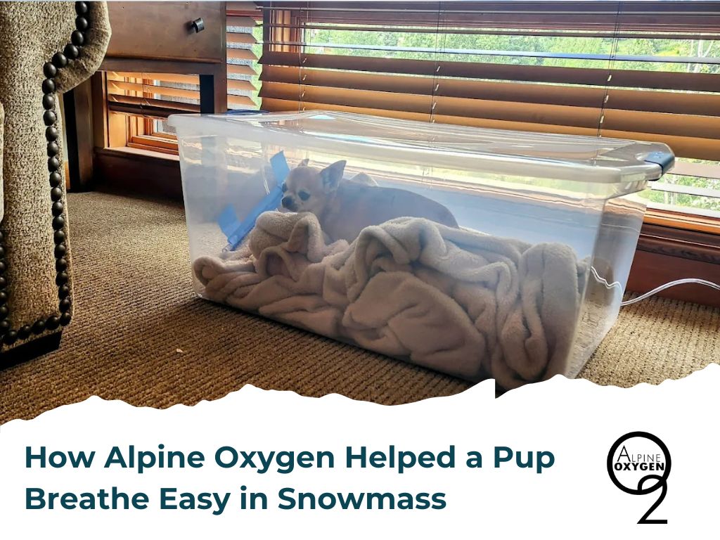 customized a small oxygen chamber for a pup