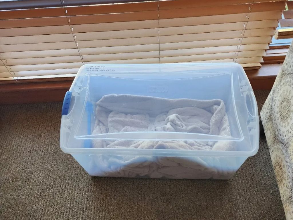 plastic bin with blanket